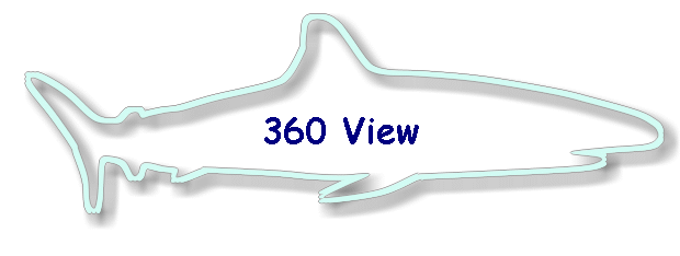 360 View