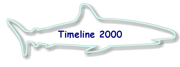 Timeline 2000