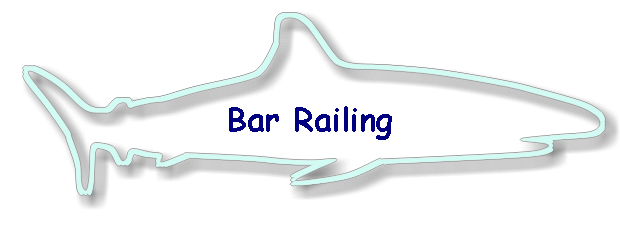 Bar Railing