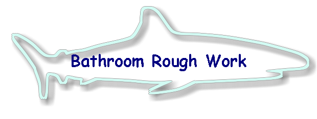 Bathroom Rough Work
