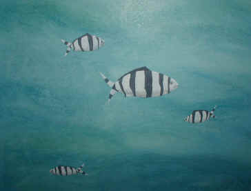 Pilot Fish